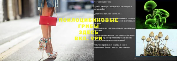 хмурый Елизово