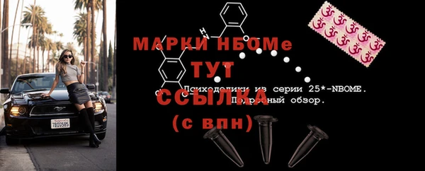 хмурый Елизово