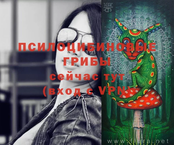 хмурый Елизово