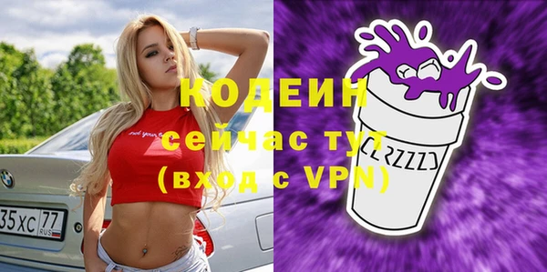 хмурый Елизово