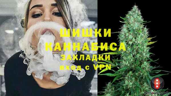 хмурый Елизово