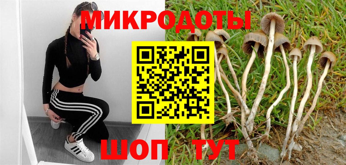 Галлюциногенные грибы Magic Shrooms Якутск