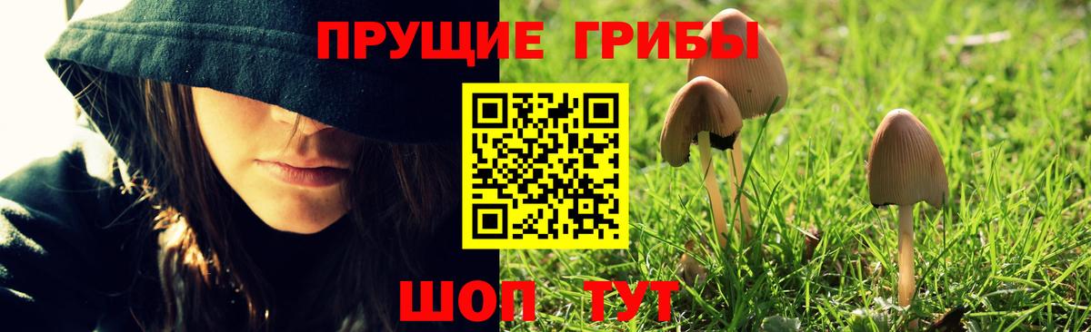 Якутск  даркнет сайт  Вход с VPN  Галлюциногенные грибы Magic Shrooms 