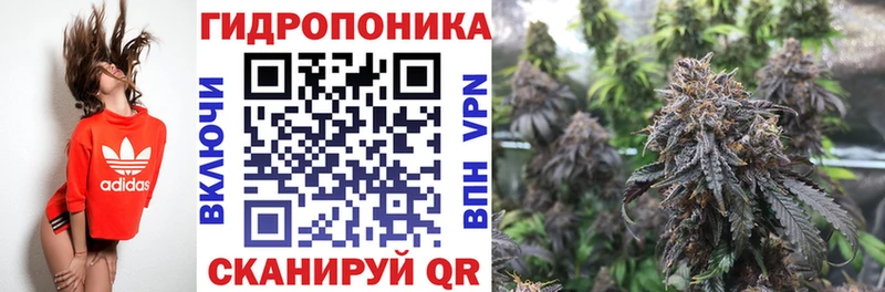 Шишки марихуана ГИДРОПОН  Якутск 